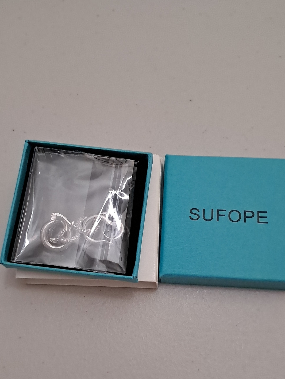 Silvertone Hoop Earrings 2 Pair